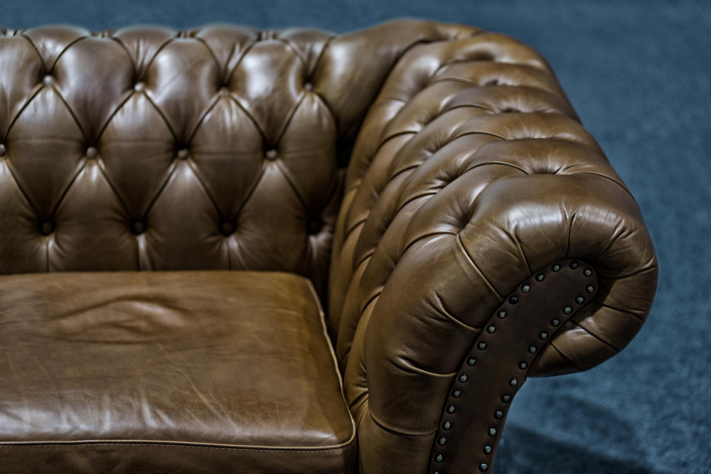 pembersih sofa kulit